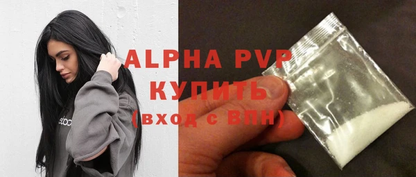 молекула духа Михайлов