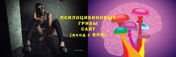 МДПВ Михайловск