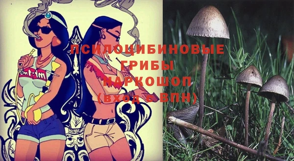 прущий лед Михайловка