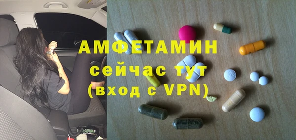 молекула духа Михайлов