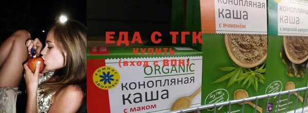 молекула духа Михайлов